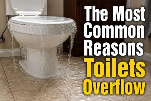 toilet overflow causes